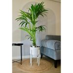 Özge design Metal Saksı Ayaklı Çiçeklik Dekoratif Beyaz Saksı Gümüş Detay Vazo Saksılık 50x30cm