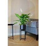 Özge design Metal Saksı Ayaklı Çiçeklik Dekoratif Siyah Gold Detay 52x21cm