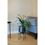 Özge design Metal Saksı Ayaklı Çiçeklik Siyah Gold Detaylı Dekoratif Saksı Vazo Saksılık 41x21cm