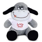 Özgüner Oyuncak 20-25 cm Tişörtlü Pelüş Ayıcık, 20 cm Teddy Bear, Yumuşak Ayıcık, Sevgiliye Hediye,Ayı Teddy,Peluş Ayıcık,Plush Toys,Oturan ayı,Ofis Hediyesi,Renkli Ayıcık,İyi ki Varsın,Tişörtlü,Ayıcık (Eşek)
