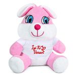Özgüner Oyuncak 20-25 cm Tişörtlü Pelüş Ayıcık, 20 cm Teddy Bear, Yumuşak Ayıcık, Sevgiliye Hediye,Ayı Teddy,Peluş Ayıcık,Plush Toys,Oturan ayı,Ofis Hediyesi,Renkli Ayıcık,İyi ki Varsın,Tişörtlü,Ayıcık (Tavşan)