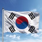 Özgüvenal Güney Kore Bayrağı 100 x 150 cm