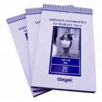 Özkan Adisyon Otokopili Numaralı 14,2X9cm 50X2 - 2 Adet