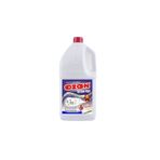 Ozon 4 lt Çamaşır Suyu