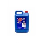 Ozon 5 lt Kireç ve Pas Çözücü
