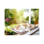 Öztekinler Sunny Seat Cama Asılan Kedi Yatağı
