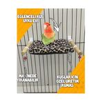ozzipetshop Cennet Papağanı Için Özel Sıcak Uyku Ve Dinlenme Yastığı Süpriz Hediyeli