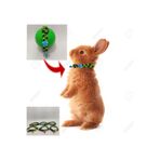 ozzipetshop Cüce Tavşan Boyun Tasması Ayarlanabilir Zilli Tasma