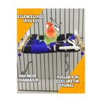 ozzipetshop Muhabbet Kuşu Oyuncaklı Boncuklu Zilli Çadır Salıncak Siyah Beyaz