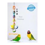 ozzipetshop Muhabbet Kuşu Sultan Cennet Papağanı Hareketli Zilli Toplar Renkli Zincir Oyun Topları 23-24 cm