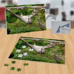 P006 Dalda Ters Dönen Kuş 99 Parça Puzzle Yapboz