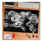 P064 Siyah Beyaz Çiçek Fotoğrafı 240 Parça Puzzle Yapboz Tablo