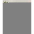 Pacifico Nevresim Takımı Pamuk Amber Tek Kişilik 160x220 9544A - 160 x 220 cm - Renkli