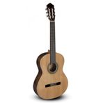 Paco Castillo Klasik Gitar Mod-201