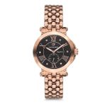 Pacomarine PM.61174.06 Erkek Quartz Kol Saati