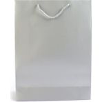 Paket Parti Karton Çanta Mat Gümüş Selefonlu 14X17X6 cm (25'li)