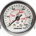 Pakkens 0-250 Bar 40 mm Arkadan Bağlantılı Panotipi Kuru Manometre G 1/8 inç