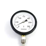 Pakkens 0-300 °C Çap 100 mm Daldırma Boyu 10 cm Alttan Bağlantılı G 1/2 Termometre