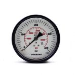 Pakkens Kuru G 1/4 inç 0-400 Bar 100 mm Arkadan Bağlantılı Manometre