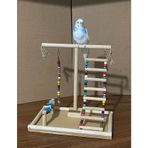 Paks Pet Kuş Oyun Parkı No:14