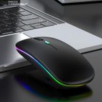 Paleon Rgb Işıklı Bluetooth Kablosuz Mouse(Bluetooth + Dongle Uyumlu - Siyah