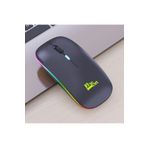 Paleon Rgb Işıklı Şarj Edilebilir Kablosuz Mouse PLO-E1300