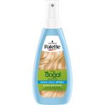 Palette 4 Adet Kalıcı Doğal Renkler Renk Açıcı Sprey