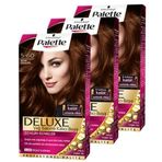 Palette 5.60 Sıcak Çikolata x3 Saç Boyası
