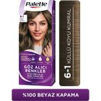 Palette 6-1 Küllü Koyu Kumral Saç Boyası