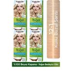 Palette 607347dd-1526-5fb2-a9f8-bfbc3eca03b3 Kalıcı Doğal Renkler 12-1 Küllü Buzul Sarısı Saç Boyası 4'lü Paket