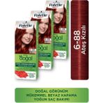 Palette Doğal Renkler 6-88 Ateş Kızılı 3 Adet Saç Boyası