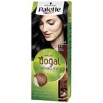 Palette Kalıcı Doğal Renkler 1-1 Mavi Siyah Saç Boyası