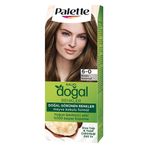 Palette Kalıcı Doğal Renkler 6 0 Koyu Kumral Saç Boyası