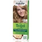 Palette Kalıcı Doğal Renkler Set 8-0 Bal Köpüğü Saç Boyası