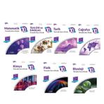 Palme 10. Sınıf Soru Bankası Seti 7 Kitap