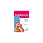 Palme Yayıncılık Prometheus Anatomi Atlası 2. Cilt