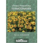 Palme Yayınları Çözümlü Problemlerle Termodinamik