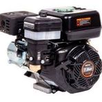 Palmera 5.1 Hp Çim Tipi Benzinli Motor