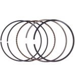 Palmera Dm460219 Çim Biçme Makinesi Segman Takımı