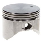Palmera DM460220 DM46P-DO140 Piston
