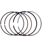 Palmera Dm510209 Çim Biçme Makinesi Segman Takımı