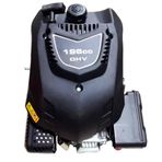 Palmera DV196-L OHV Çim Biçme Motoru