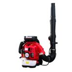 Palmera Eb - 985 5.0 Hp Yaprak Üfleme Makinesi