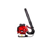 Palmera Eb985a Eur5 Üfleme Makinesi Sırt Tipi