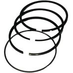 Palmera HP17805100 78 mm Segman Takımı