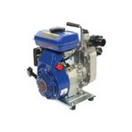 Palmera Pa15t Su Motoru 1,5 Luk 3 Hp Motorlu