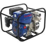Palmera PA20T Benzinli Su Motoru
