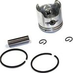 Palmera SLP 500 Çit Budama Makinesi Piston Seti