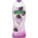 Palmolive Body Butter Böğürtlen Keyfi Duş Jeli 500 ml 4 Adet