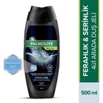 Palmolive Cooling Feel Of Muscle Relax 4in1 500 ml Duş Jeli